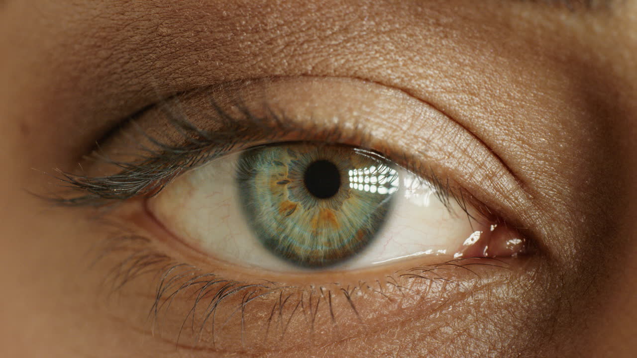 макро зелёный глаз открывается красивая радужная оболочка естественная человеческая красота здоровое зрение концепция