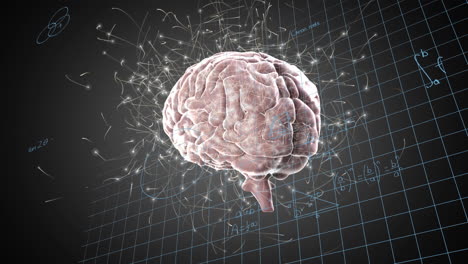 animación de la red de conexiones sobre el icono del cerebro humano giratorio y las ecuaciones matemáticas.