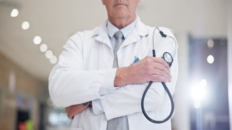 hands with stethoscope, doctor