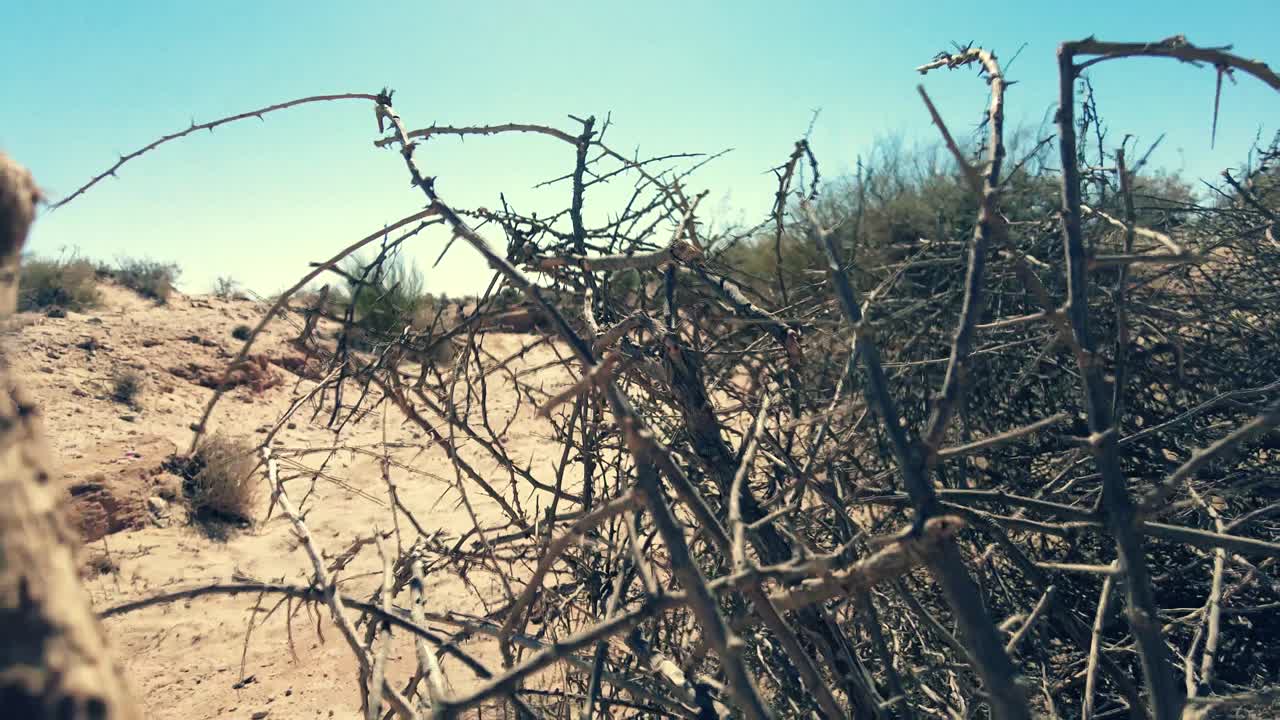 알제리 의 비스크라 사하라 의 건조 한 풍경