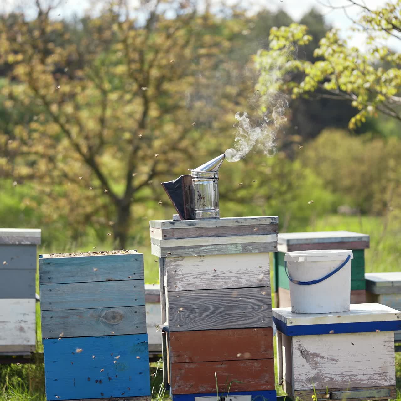 Chimney with smoke on a beehive. Smoker tool stands on a hive. Bees flying around. Beekeeping tool smoking on wooden hives background. Apiculture concept