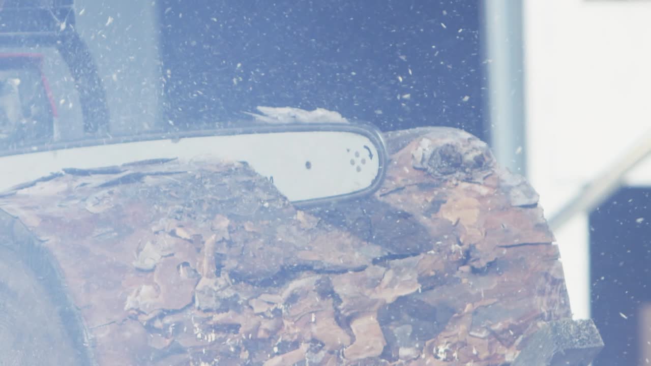 나무 줄기를 잘라내는 체인