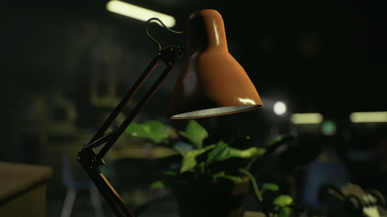Warm desk lamp illuminates potted plant in cozy workspace at night