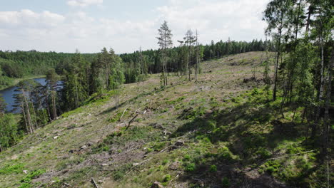 Un-Dron-Aéreo-Avanza-Sobre-Un-Bosque-Destruido-Debido-Al-Viento-O-A-Un-Desastre-Ambiental-Junto-A-Un-Lago-En-Un-Día-Soleado