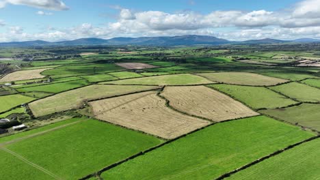 aerial flying inland from the copper coast waterford over a patchwork of fertile farmland and the comeragh mountains in the background