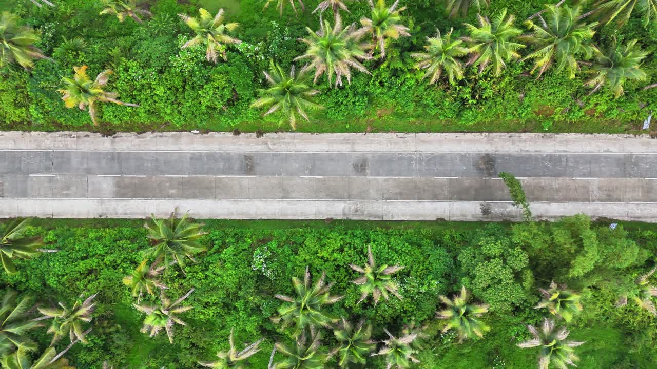 Strada diritta in cemento fiancheggiata da fitte palme da cocco verdi nel bacino di Maasin, Siargao, Filippine, mostrata da una prospettiva aerea dall'alto in una ripresa panoramica fluida attraverso una vivace piantagione tropicale.