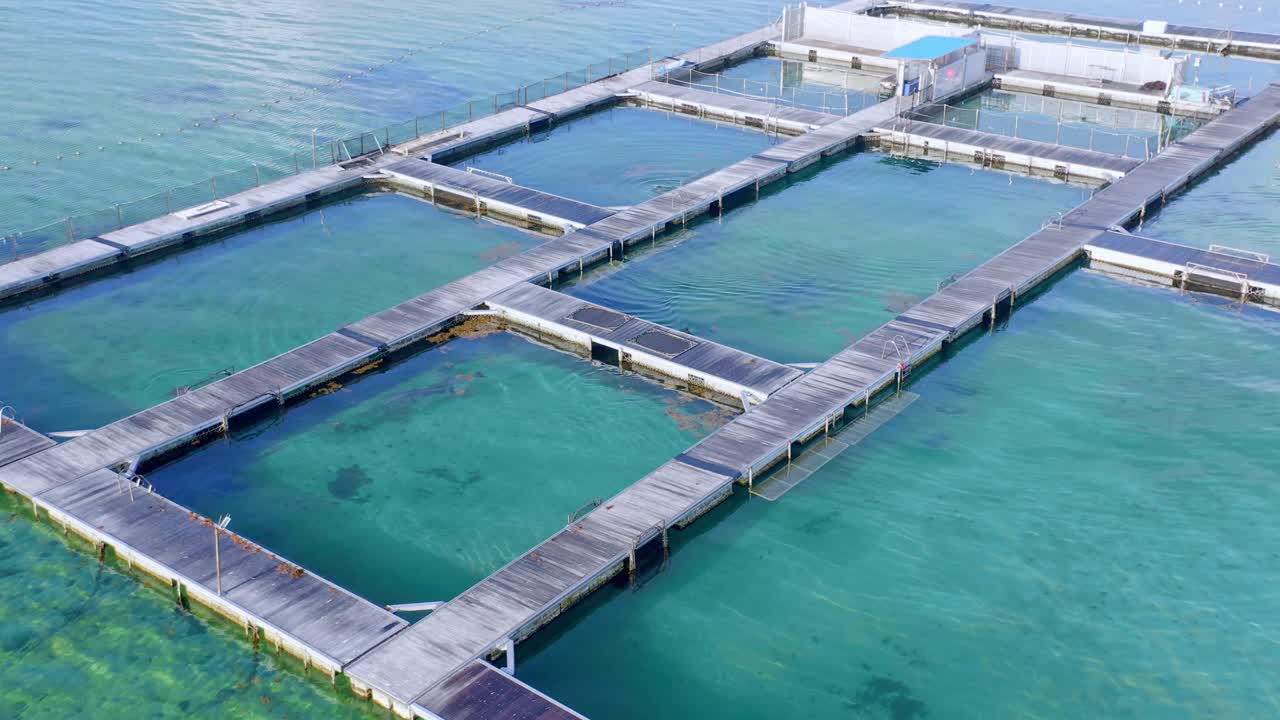 도미니카 공화국 푼타 카나에 있는 돌고래 섬 공원의 공중 전망 - 드론 샷