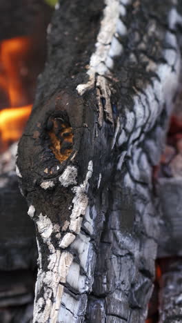 bonfire flame and firewood. smoldered firewoods burned in fire, close up