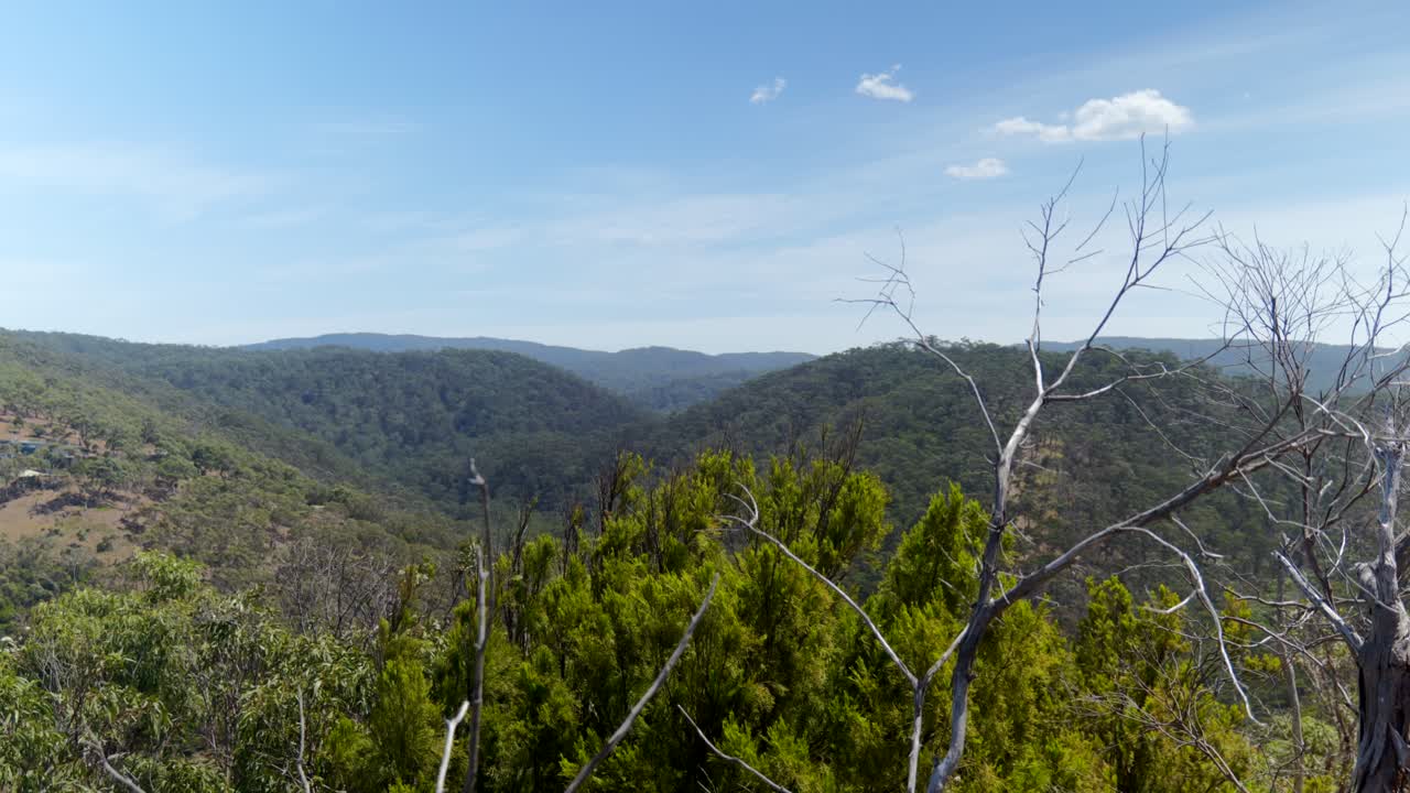 A wide shot of rolling hills seen through tree branches, creating a layered perspective of nature and landscape in the distance.