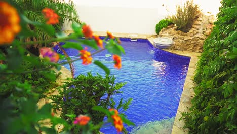 idyllic garden pool with flowering plants