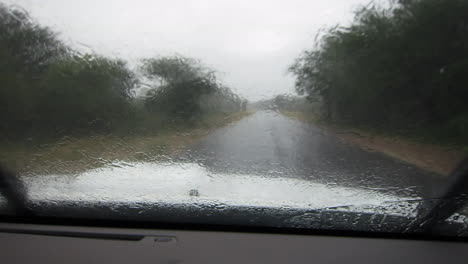 the view from inside a safari vehicle on the paved, tarred roads in and around the greater kruger national park while is was raining