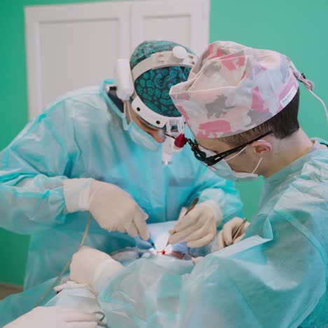 surgeon at work in operating room