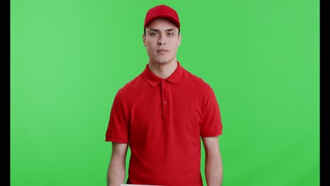 pizza delivery driver