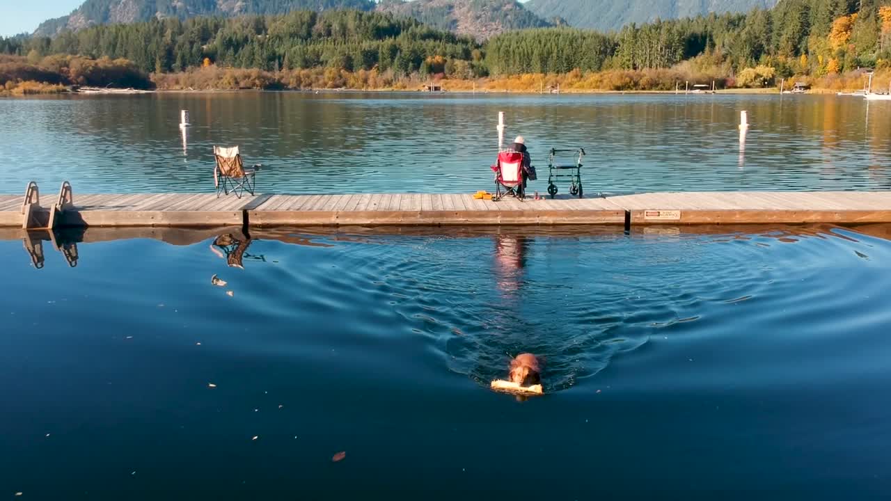가을에 막대기로 개 수영과 함께 낚시하는 남자