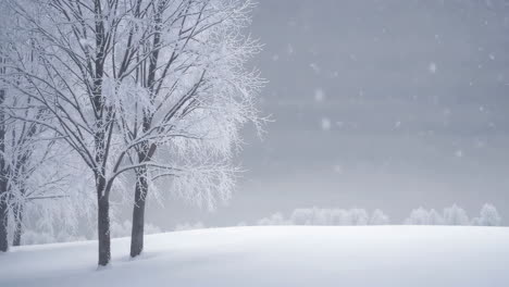 snowy winter landscape with trees