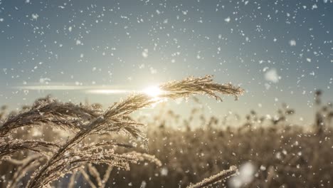 a winters scene animation with cars driving slowly down a snow-covered road and leaves falling gently from the trees. video loop