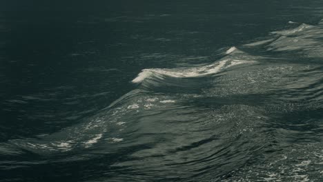 ripple waves in wake of boat in moody sceney, milford sound