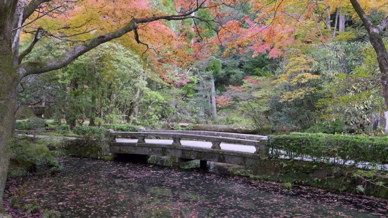 가을 풍경 정원에서 다리 위의 연못을 향한 믿을 수 없는 느린 움직임의 영화적 도리