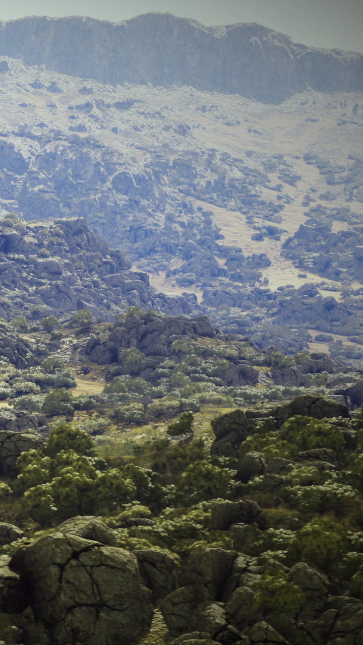 Mountain landscape with rocks and trees under a clear blue sky