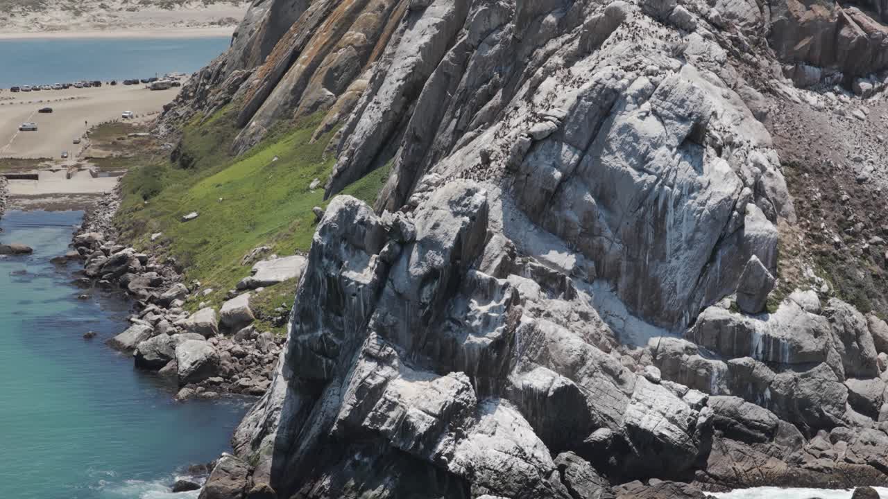 Close-up drone footage of seabirds resting on Morro Rock in Morro Bay, California. The sandy beach and coastal shoreline stretch out in the background, showcasing the natural habitat and landscape