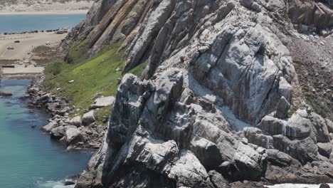 close-up drone footage of seabirds resting on morro rock in morro bay, california. the sandy beach and coastal shoreline stretch out in the background, showcasing the natural habitat and landscape