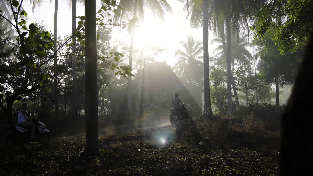 Motorcycle Journey Through a Tropical Forest at Sunrise