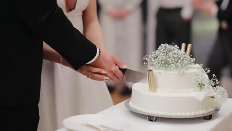 the bride and groom cut the wedding cake