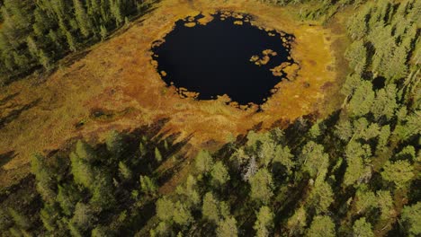 Un-Lago-Redondo-En-Medio-De-Un-Bosque