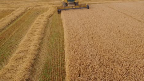 Drone-footage-of-golden-fields-and-combine-harvester