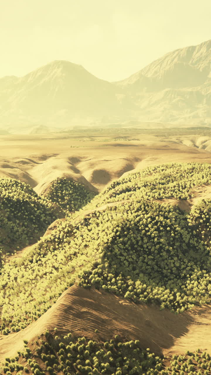 paisaje desértico con montañas en la distancia