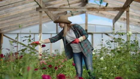 Un-Florista-Con-Una-Tableta-Camina-En-Un-Invernadero-Y-Audita-Y-Revisa-Las-Flores-Para-La-Contabilidad-De-Pequeñas-Empresas,-Toca-Y-Observa-Las-Plantas