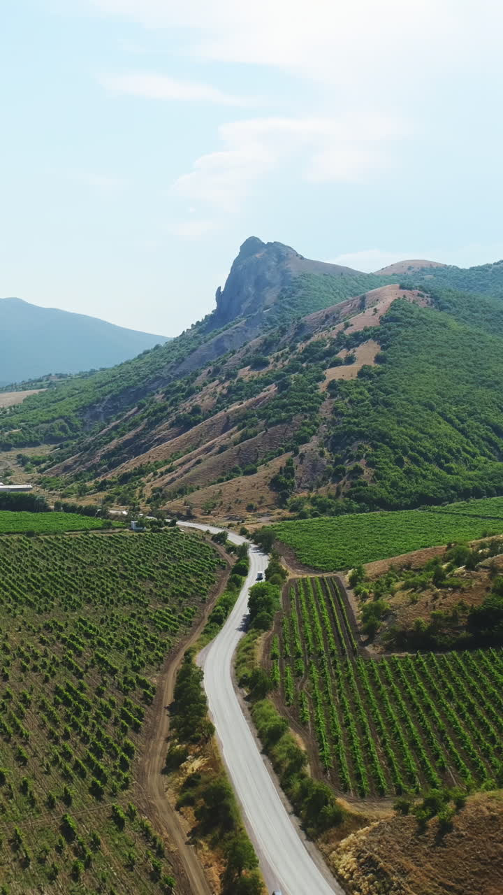 Paesaggio panoramico di vigneti montani