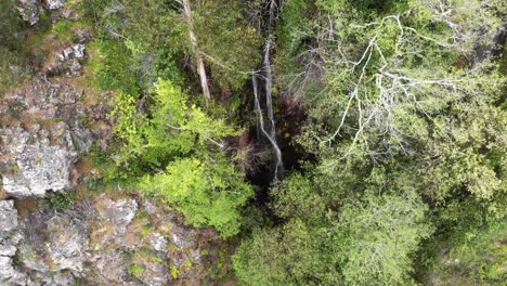Aerial-4k-drone-footage-revealing-a-majestic-waterfall-in-Monchique,-Portugal-peeking-through-the-surrounding-jungle