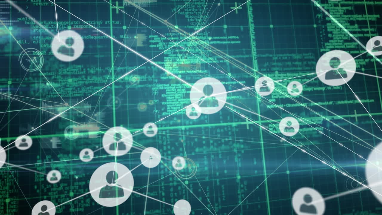Animation of network of connections over data processing