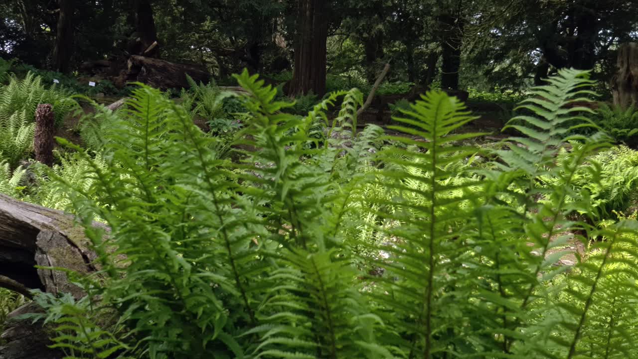 día abajo en una casa señorial jardines