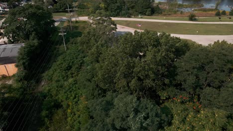 Treetops-in-early-fall,-leaves-still-beaming-green