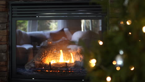 sliding view of a cozy fire in the fireplace with a christmas tree in the foreground - slow motion