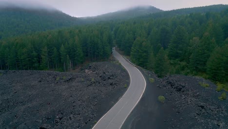 road surrounded by volcanic landscape etna sicily, s-shaped road in the middle of green pine trees