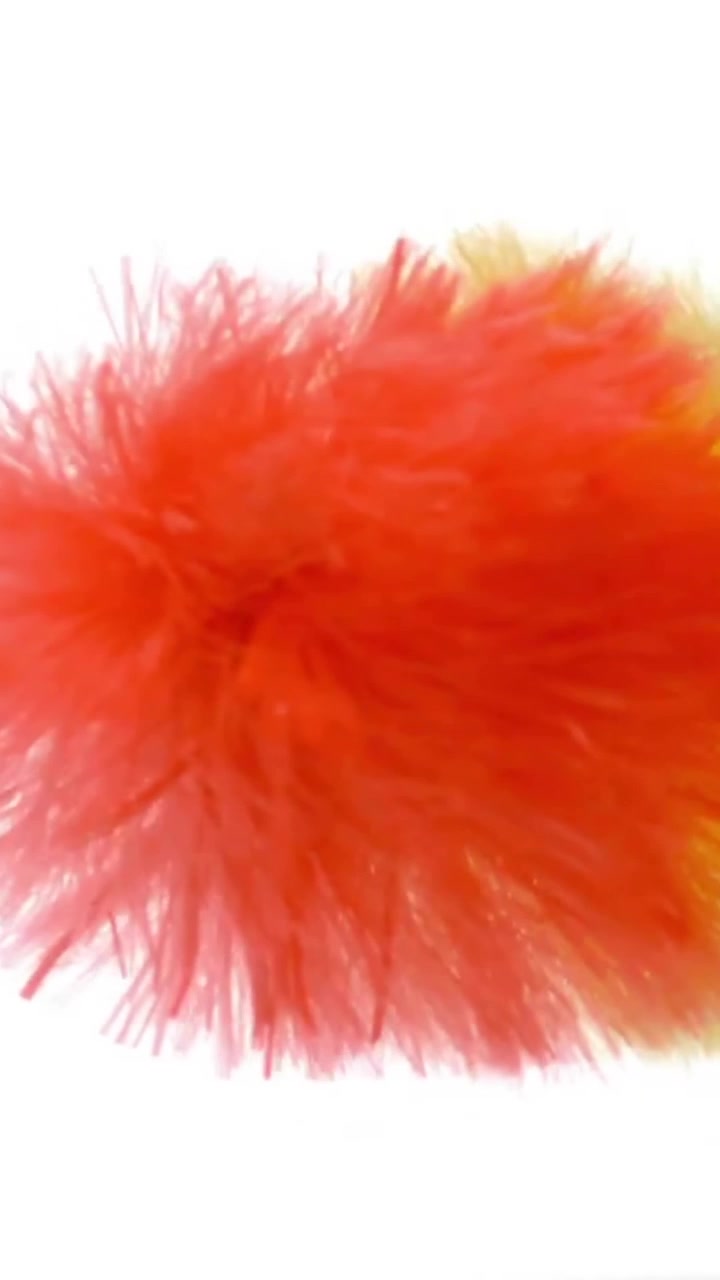 Animación de plumero colorido con plumas rojas, amarillas y azules sobre fondo blanco