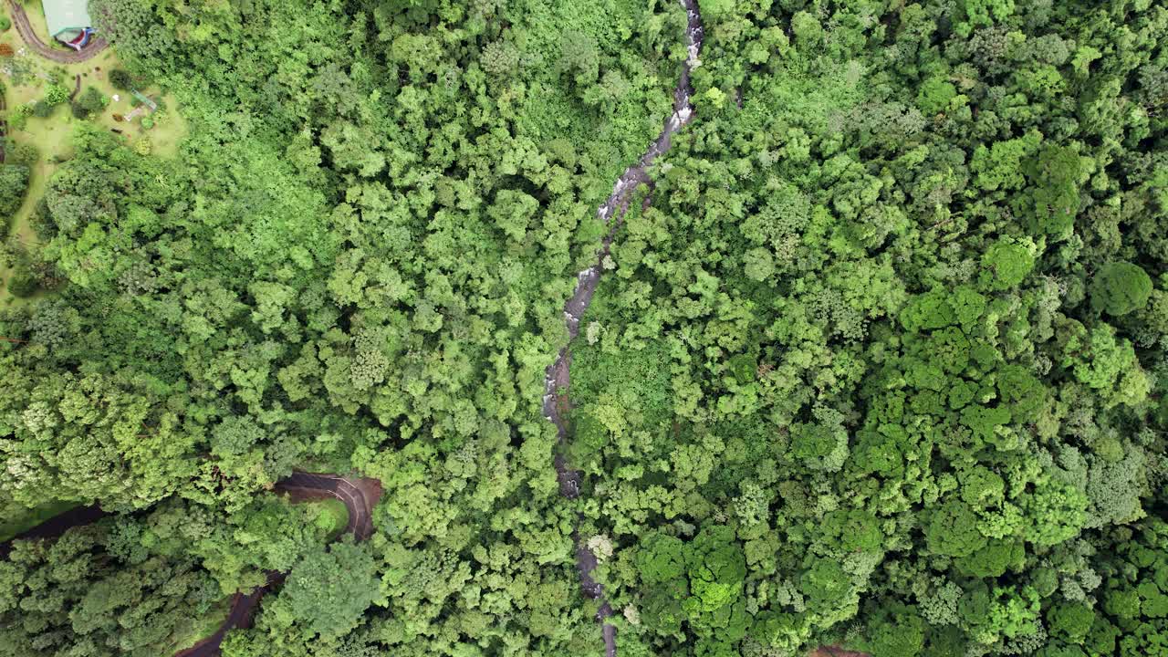 río de la selva que fluye en el valle de la selva tropical en la fortuna, costa rica
