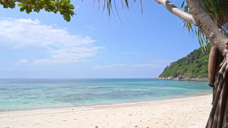 Panorámica-Lenta-Desde-El-Tronco-De-Una-Palmera-A-Través-De-Una-Playa-De-Arena-Blanca