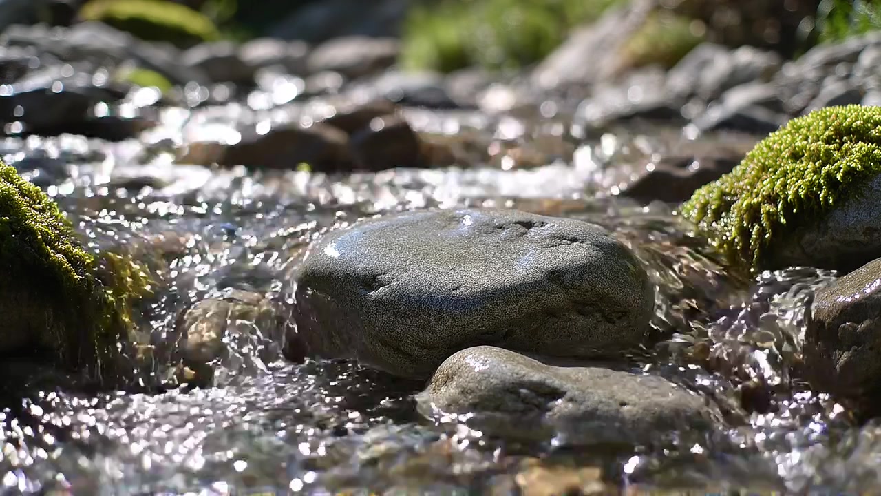 Close-up of clear water flowing over smooth mossy stones