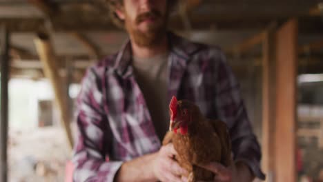 portrait of smiling caucasian man holding chicken, looking at camera