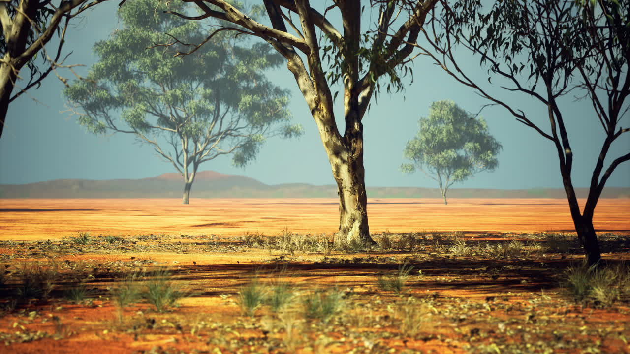 Landscape of a sunlit desert with scattered trees under a blue sky