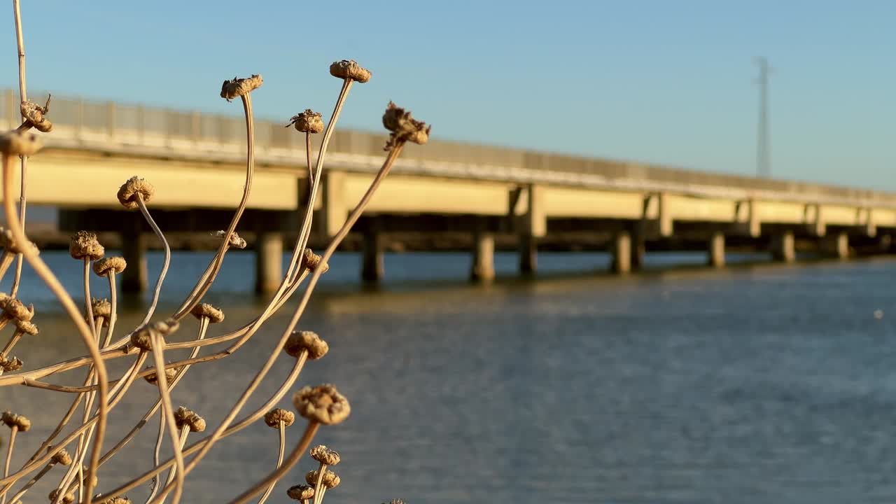 Wide shot of a bridge spanning calm ocean waters