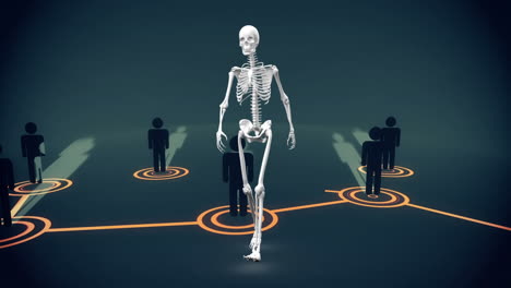 animación de la red de conexiones y representación humana sobre el modelo del cuerpo humano