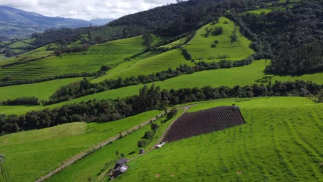 Aerial-Drone-Flyover-Of-Green-Garden-Terraced-Mountain-Slopes-And-Foothills-At-Pasochoa-volcano,-Puichig-,-Machachi-valley,-Canton-Mejia,-Pichincha-Province,-Ecuador