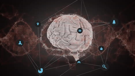 animación de la red de conexiones con iconos sobre la cadena de adn y el cerebro humano