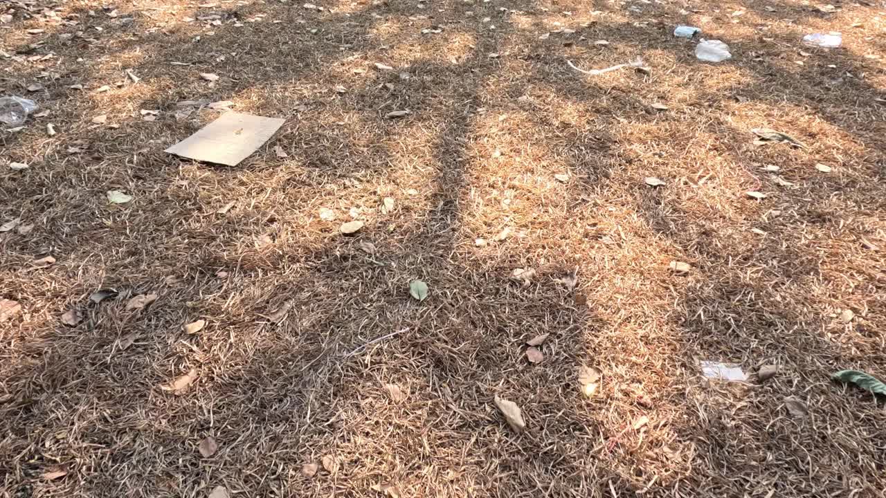 secuencia que muestra el aumento de la basura en el suelo