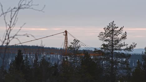 Hoher-Kran-Mitten-Im-Wald